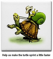 Help us make the turtle sprint a little faster