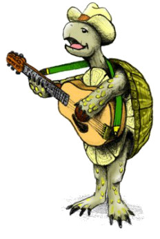 country_music_cowboy_turtle_poster