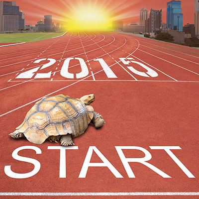 Urban Turtle for TFS 2015 Urban Turtle for TFS 2015